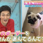 『ななにー 地下ABEMA』稲垣吾郎が真飛聖の愛犬に洋服をプレゼントに草彅剛＆香取慎吾が驚愕「吾郎さんが洋服を選んだの？」「30年以上の付き合いでそんな優しさを感じたことない」